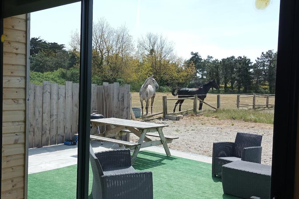 Le Gite De La Ferme Portbail Exterior photo